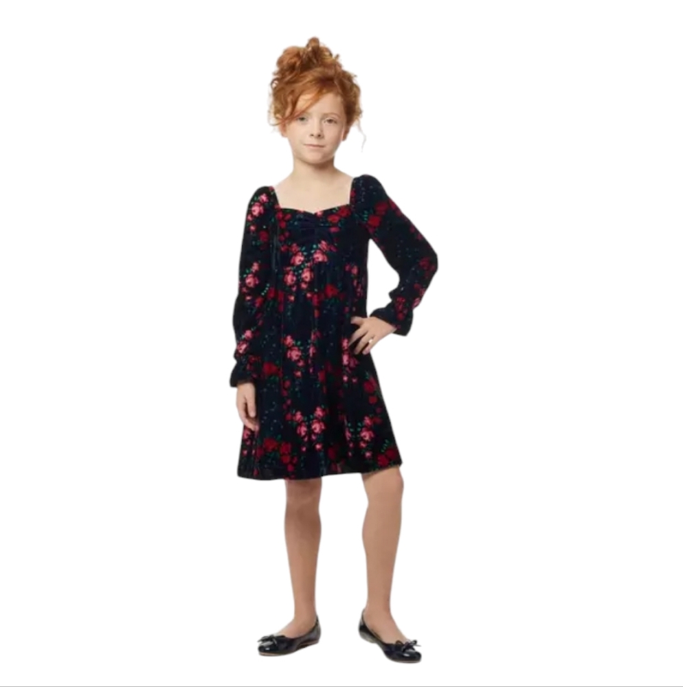 Janie and Jack Dark Marine Rose Print Velvet Floral Holiday Dress Size 4 NWT